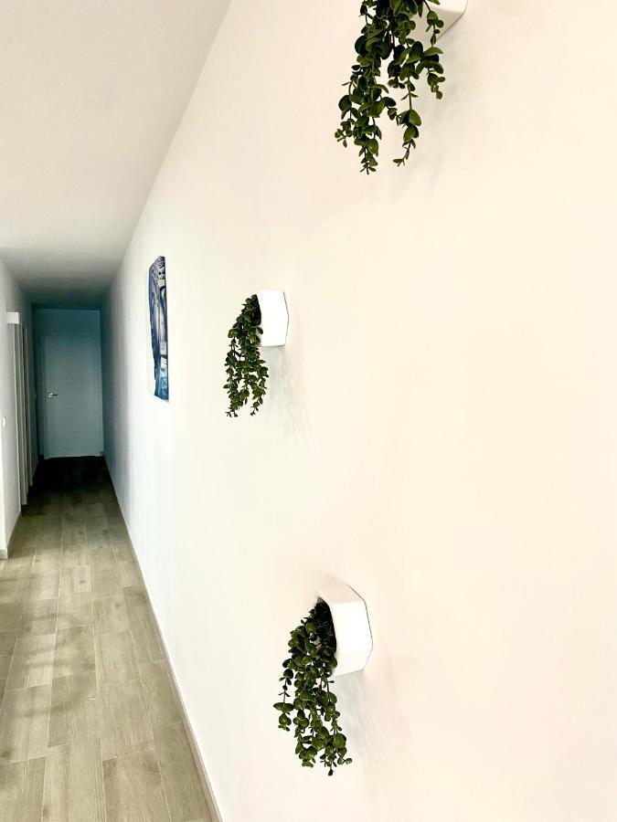 Blue House 1ª Linea Playa Apartment Torrevieja Exterior photo